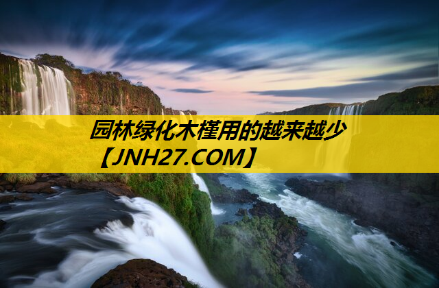 园林绿化木槿用的越来越少
