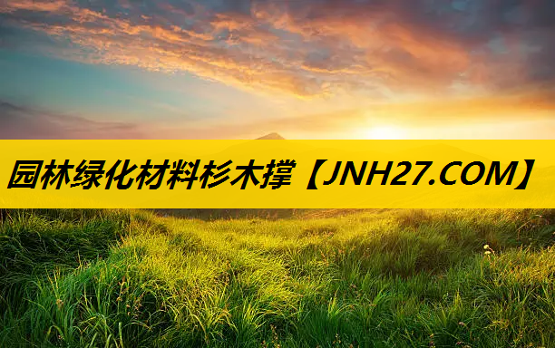 园林绿化材料杉木撑