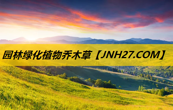 园林绿化植物乔木草