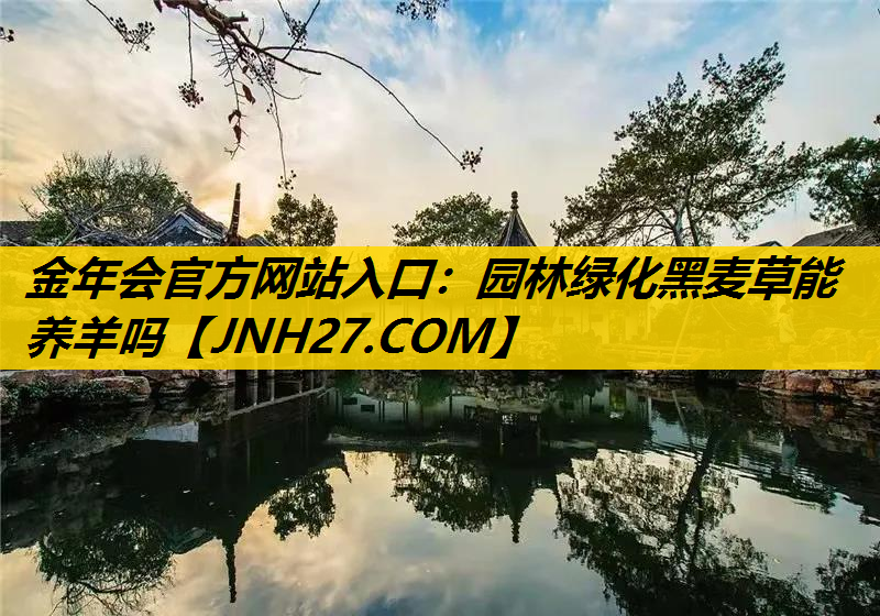 园林绿化黑麦草能养羊吗